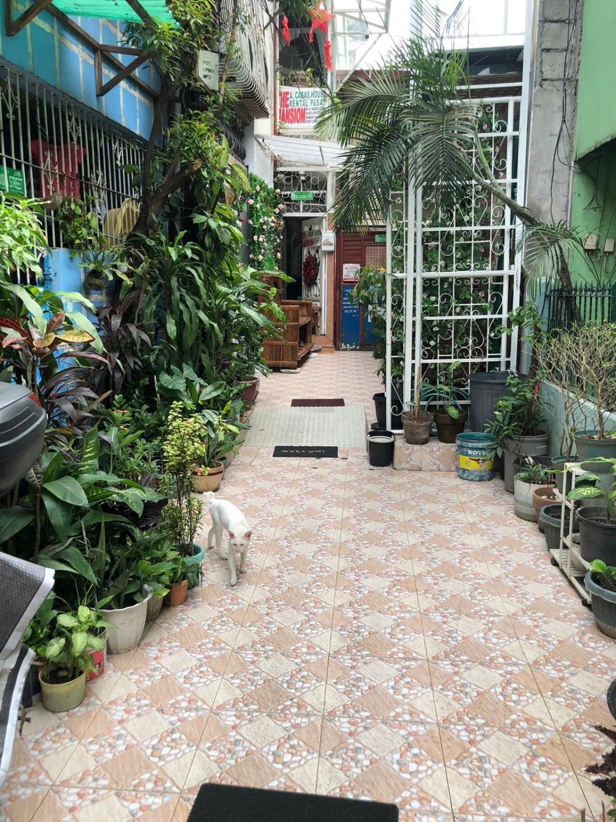 The Mansion - Backpackers Near Airport Lägenhet Manila Exteriör bild